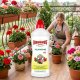 EkoDarPol Biohumus* Extra Pelargonia 0,7L (5906142984145) 8