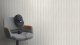 Rasch Wallpaper 252767 0.53 4