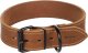 Flamingo Dog collar Montana Cognac 49-59CM 40MM 1