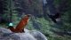 MERGE Spirit of the North 2 (PS5) 2