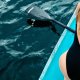 Virtufit Deska SUP VirtuFit Surfer 305 czarna - z żaglem i akcesoriami 5