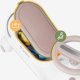 Ecotoys Jeździk dla dzieci grawitacyjny Focus 45 Grey (TN-FOCUS 45 GREY) 12