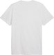Puma Koszulka męska ESS Small No.1 Logo Tee (s) jasnoszara 682535 05 L 3