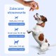 Orion Pharma TrueBond Pre Pro & Postbiotic Chews - Zdrowy Brzuszek - 60 kęsów / 240g 2