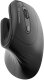 Mysz Wozinsky Bezprzewodowa WWM-1076 pionowa ergonomiczna 3600 DPI - czarna (5907769388224) 1