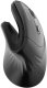 Mysz Wozinsky Bezprzewodowa WWM-1076 pionowa ergonomiczna 3600 DPI - czarna (5907769388224) 3