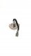 Ezviz Wizjer do drzwi CP4 2MP Wi-Fi srebrny (CS-CP4 (2WPFBS,2MP)) 7