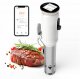 Cyrkulator Sous Vide Inkbird ISV-101W - biały 2