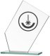 Victoria Sport Trofeum szklane grawerowane z etui 1