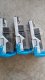 Konica Minolta Staple Cartridge (14YK) 3