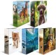 Herma 1x10 Motif File A4 Favourite Animals (20096) 1