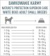Natures Protection Superior Care Grain Free White Fish Adult Small Breeds 10kg 3