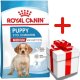Royal Canin Medium Puppy 4kg karma sucha dla szczeniąt, od 2 do 12 miesiąca, ras średnich 1