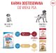 Royal Canin Medium Puppy 4kg karma sucha dla szczeniąt, od 2 do 12 miesiąca, ras średnich 11