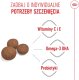 Royal Canin Medium Puppy 4kg karma sucha dla szczeniąt, od 2 do 12 miesiąca, ras średnich 4