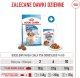 Royal Canin Medium Puppy 4kg karma sucha dla szczeniąt, od 2 do 12 miesiąca, ras średnich 9