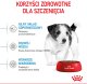 Royal Canin Mini Puppy 2kg karma sucha dla szczeniąt, od 2 do 10 miesiąca życia, ras małych 6