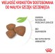Royal Canin Mini Puppy 2kg karma sucha dla szczeniąt, od 2 do 10 miesiąca życia, ras małych 7