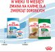 Royal Canin Mini Puppy 2kg karma sucha dla szczeniąt, od 2 do 10 miesiąca życia, ras małych 8