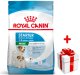 Royal Canin Mini Starter Mother & Babydog 1kg karma sucha dla suk w ciąży i okresie laktacji oraz szczeniąt, od 4 do 8 tygodnia, ras małych 1
