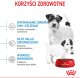 Royal Canin Mini Starter Mother & Babydog 1kg karma sucha dla suk w ciąży i okresie laktacji oraz szczeniąt, od 4 do 8 tygodnia, ras małych 6