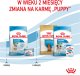 Royal Canin Mini Starter Mother & Babydog 1kg karma sucha dla suk w ciąży i okresie laktacji oraz szczeniąt, od 4 do 8 tygodnia, ras małych 8