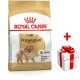 Royal Canin Pomeranian Adult 500g karma sucha dla psów dorosłych rasy Pomeranian 1