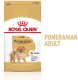 Royal Canin Pomeranian Adult 500g karma sucha dla psów dorosłych rasy Pomeranian 2
