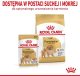 Royal Canin Pomeranian Adult 500g karma sucha dla psów dorosłych rasy Pomeranian 3