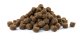 Versele-Laga Opti Life Adult Digestion Medium&Maxi 12,5kg 4