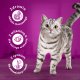 Whiskas Adult 3x1,4 kg - sucha karma dla dorosłego kota, z pysznym kurczakiem 8