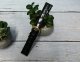 Orient Pasek do zegarka Classic UDDGBGB 20 mm czarny . 5