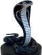Figurka Safari LTD. Kobra Królewska King Cobra Kolekcjonerska 2