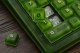 Klawiatura 8BitDo Pro2 Gamepad G Edycja Klasyczna (RET00929) 7