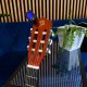 Golden Guitar Zestaw: Gitara klasyczna 4/4 38 kolor sunburst GK38SU pokrowiec+ tuner+ struny+ kostki one size 13