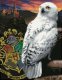 DIAMOND DOTZ Adults Snowy Owl Hedwig (018-DD10103) 1