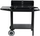 Lund Grill węglowy z półką, Ruszt 48 x 26.5CM one size 3