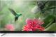 Telewizor TCL U75C7006 LED 75'' 4K (Ultra HD) Android 1