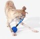 Cheerble Wicked Ball Air Rope (598727) 2