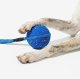 Cheerble Wicked Ball Air Rope (598727) 5