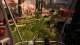 Starship Troopers: Ultimate Bug War (NS2) 3