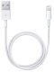 Kabel USB Apple Typ A na Lightning 1A 1m (MXLY2ZM/A) 1