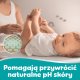 Pampers Chusteczki Nawilżane 99% Water 15 op. 60 Chusteczek = 900 szt. 10