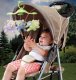 Fisher Price Musical carousel 3in1 Butterfly Dreams, (CDN41) 4