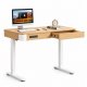 Biurko Triadyn WorkBase S 1206 elektryczna regulacja wysokości 120x60cm z szufladą dąb jasny 1