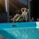 Patio KADAX Fotel Lena Plus H024-12PB H 460293 ciemny 13