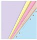 Filofax A5 Arkusz notatnikowy Liniowany Pastel213x149x4mm 0,06kg (1 szt.) (340508) 2