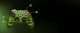 Pad X25 Special Edition Wireless Controller OG Green (700417) 6