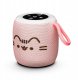 Głośnik Huslog Bluetooth Pusheen RGB USB-C/SD, różowy (EGM-230156) 1