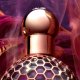 Guerlain Absolus Allegoria Tabac Sahara Eau De Parfum 75 ml, Unisex, 75 ml, Non-refillable bottle, Liquid perfume, Raspberry, Citrus, Tobacco, Red berry (3346470625600) 3